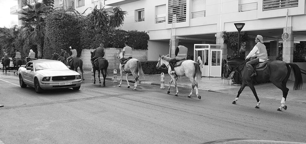 Photograph by Chraibi Hicham