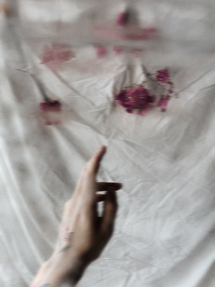 Photograph by Marina Veksler