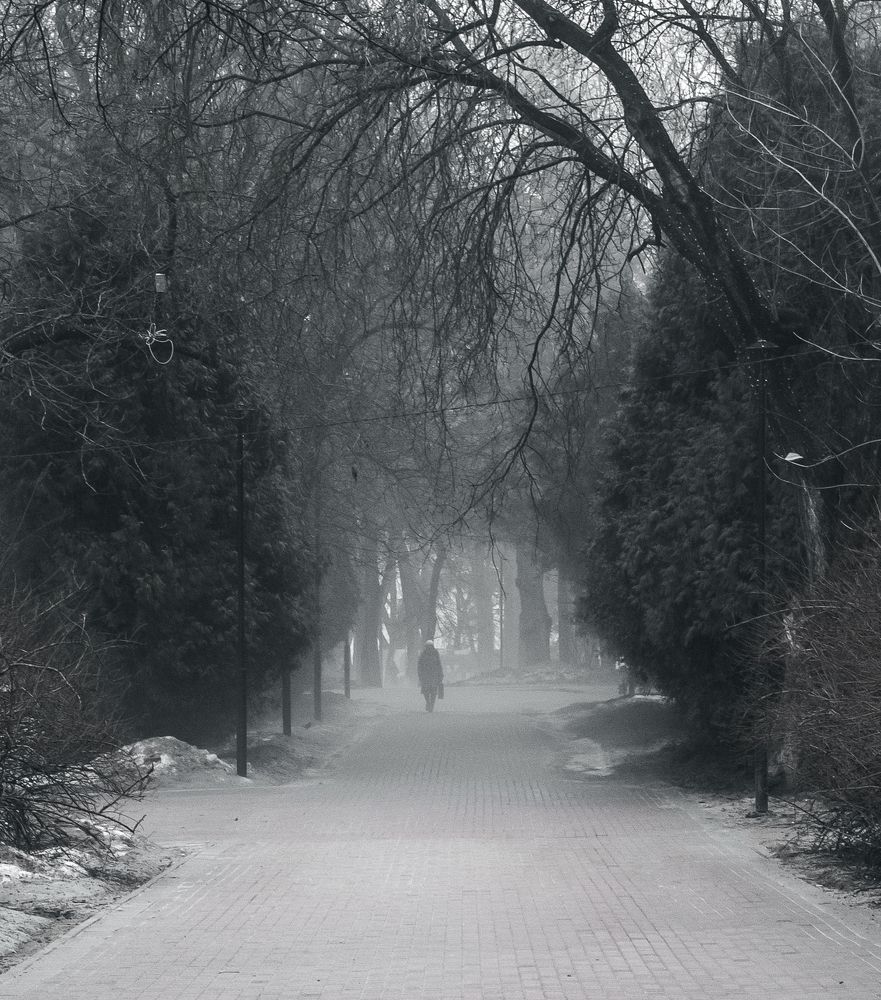 Photograph by Герман Корнеев