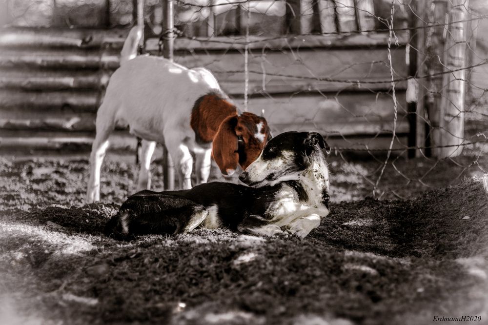 Photograph by Heather Erdmann