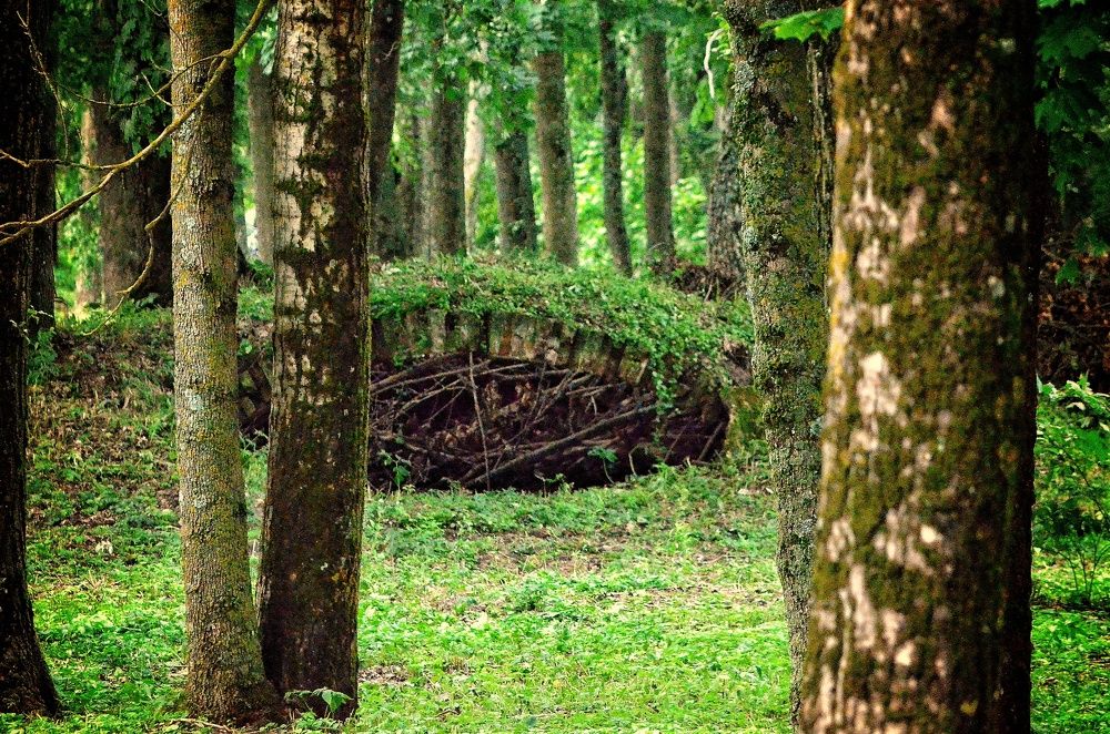 Photograph by Сергей Симаков