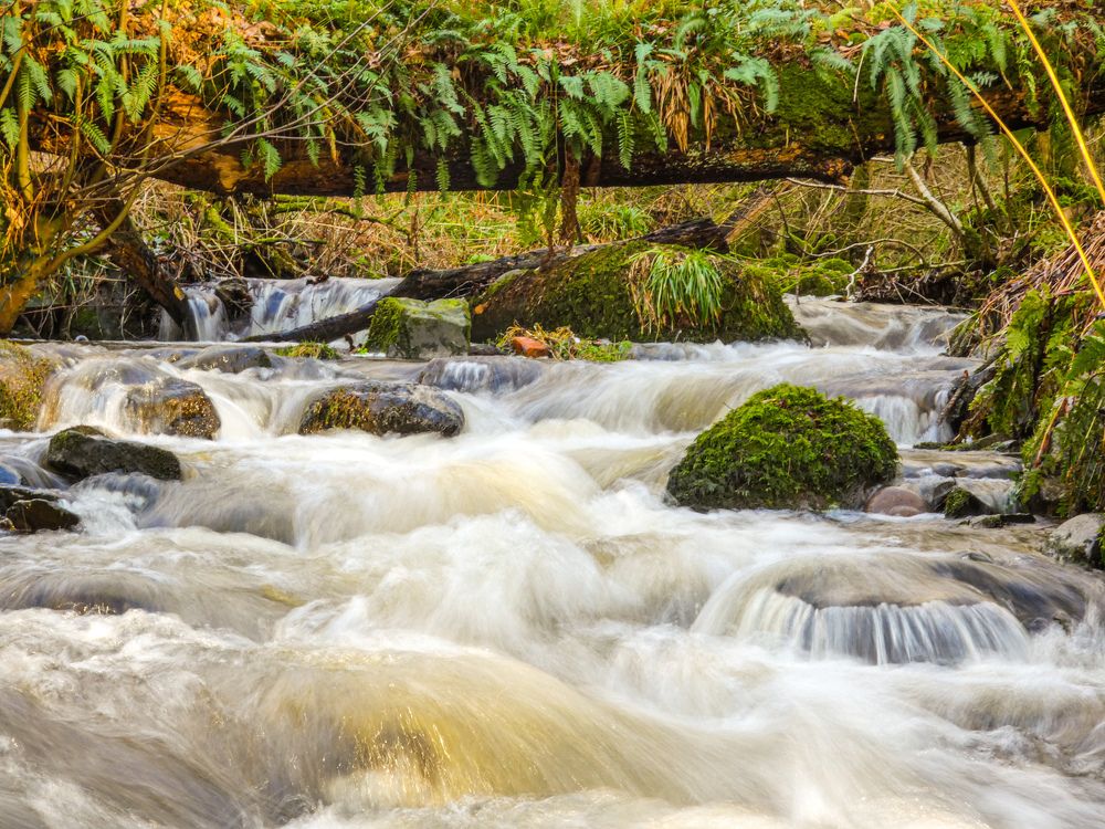 Фотография автора Michael Gault