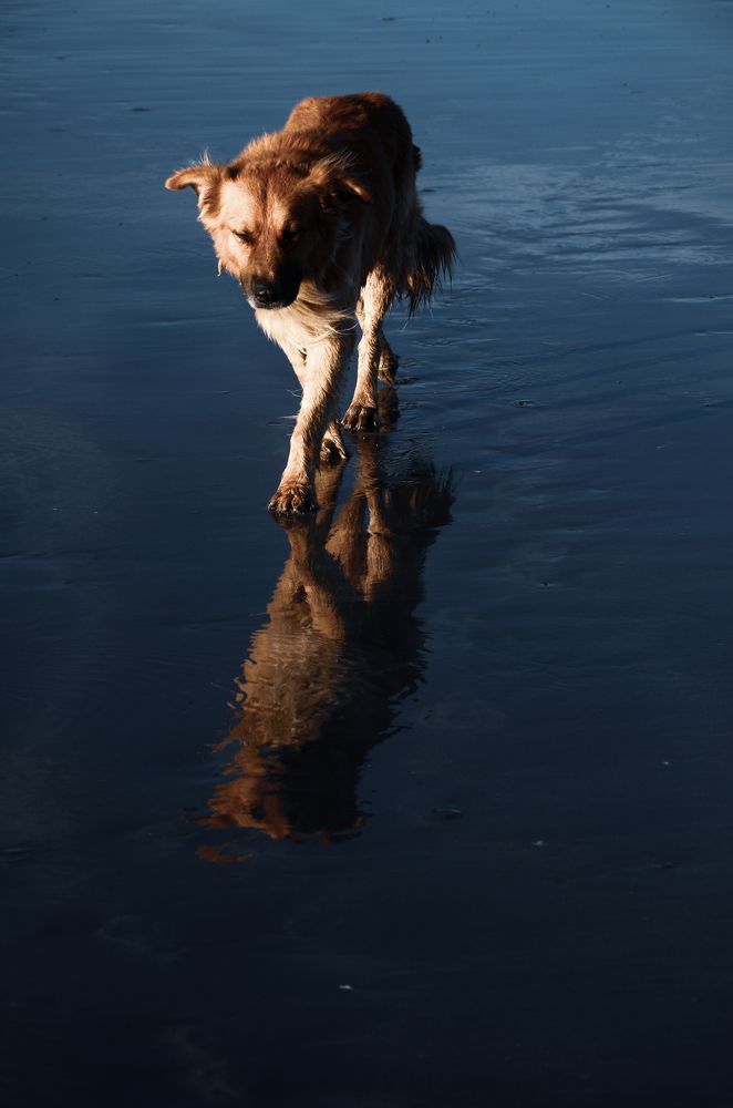 Photograph by Fernando Sileo