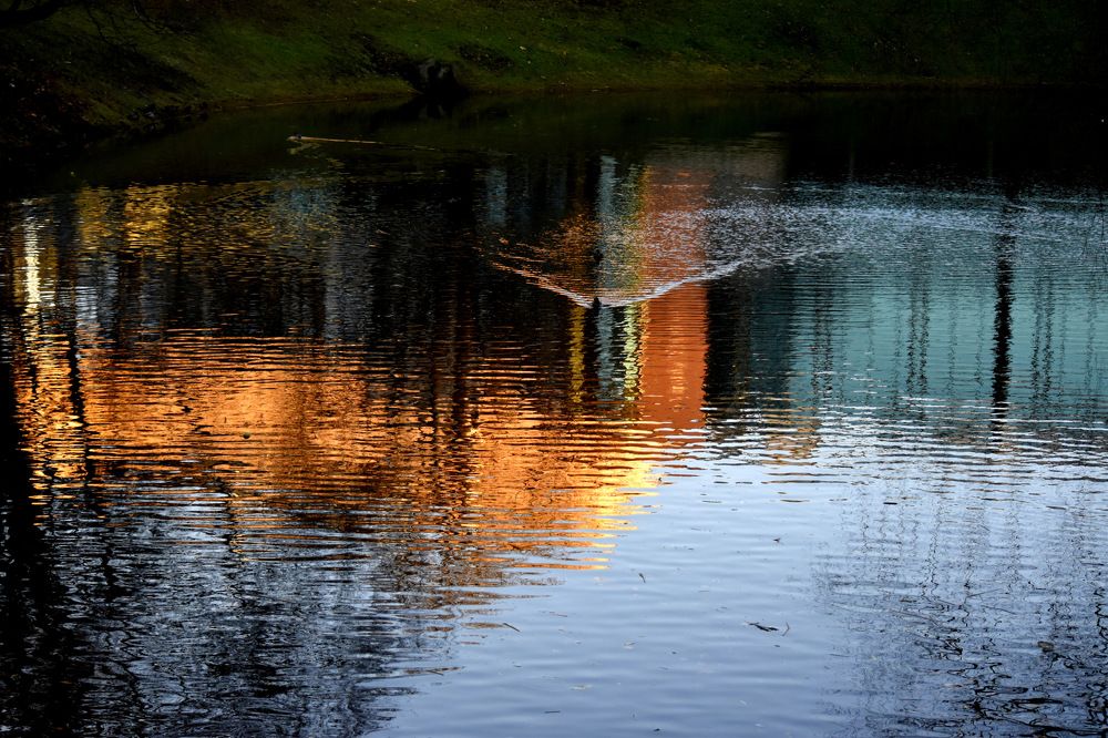 Photograph by Инна Сенкевич