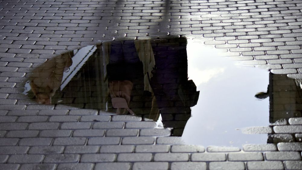 Photograph by Инна Сенкевич