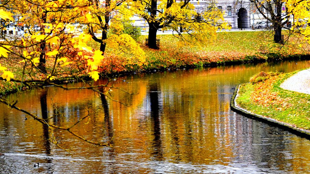 Photograph by Инна Сенкевич