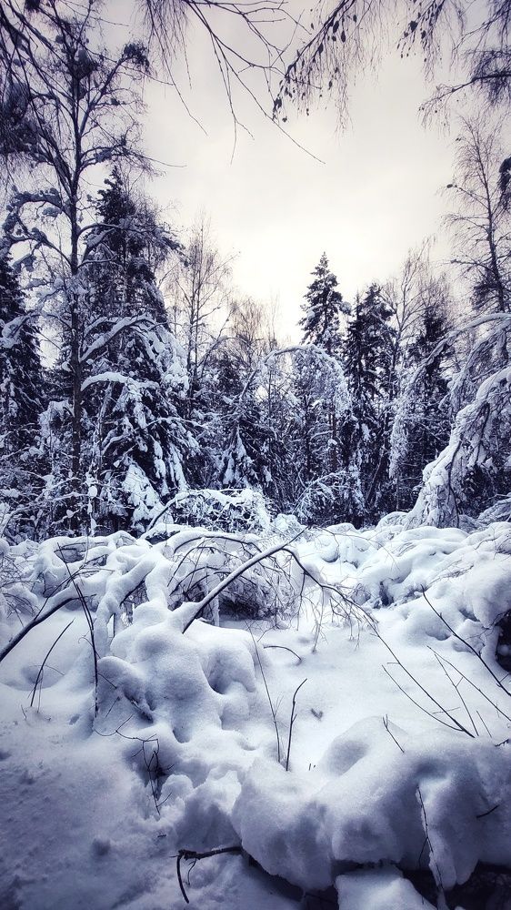 Photograph by Сергей Малашкин