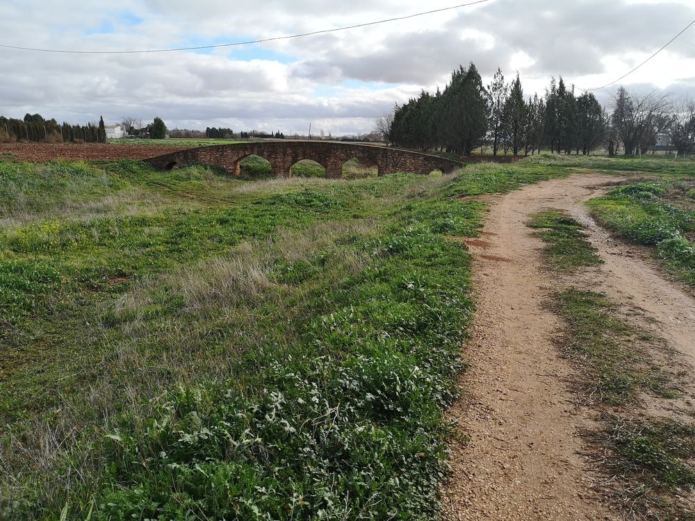 Photograph by Estrella