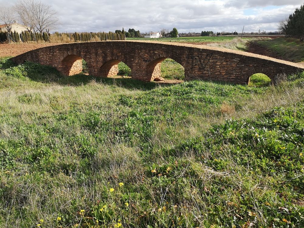 Photograph by Estrella