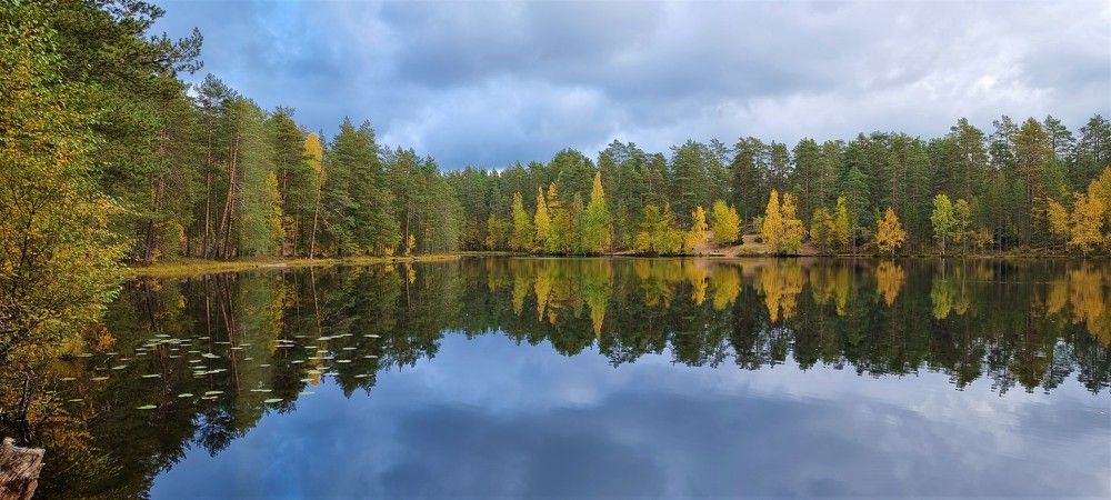 Photograph by Алёна Губинская
