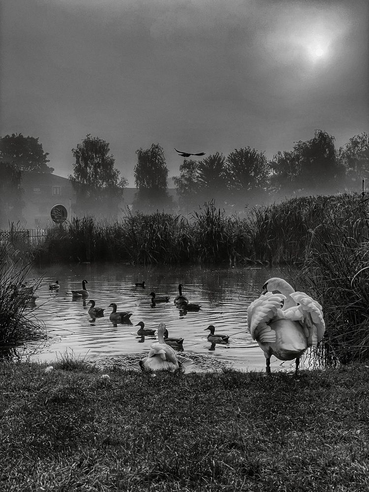 Photograph by Vera Notovich