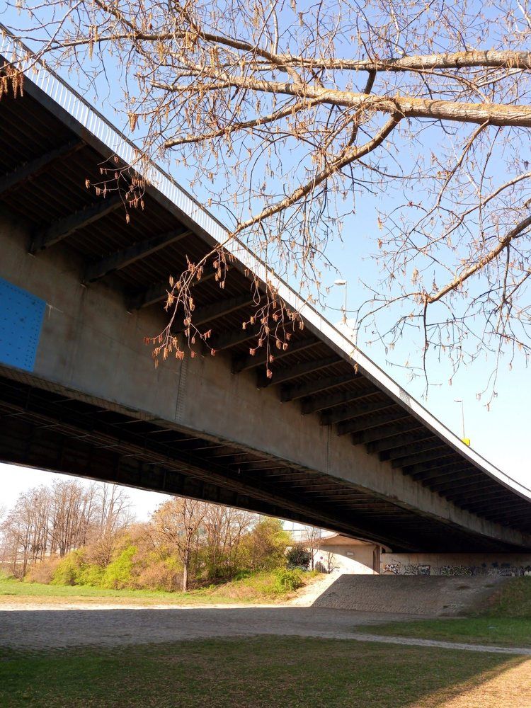 Photograph by Ирина Ерохина