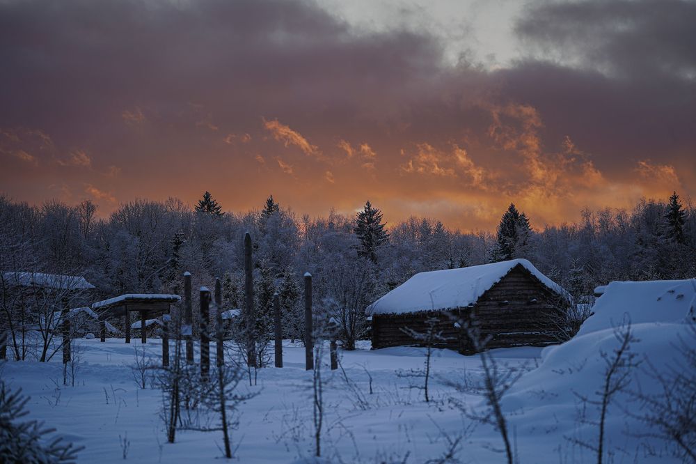 Photograph by Дарья Гурьева