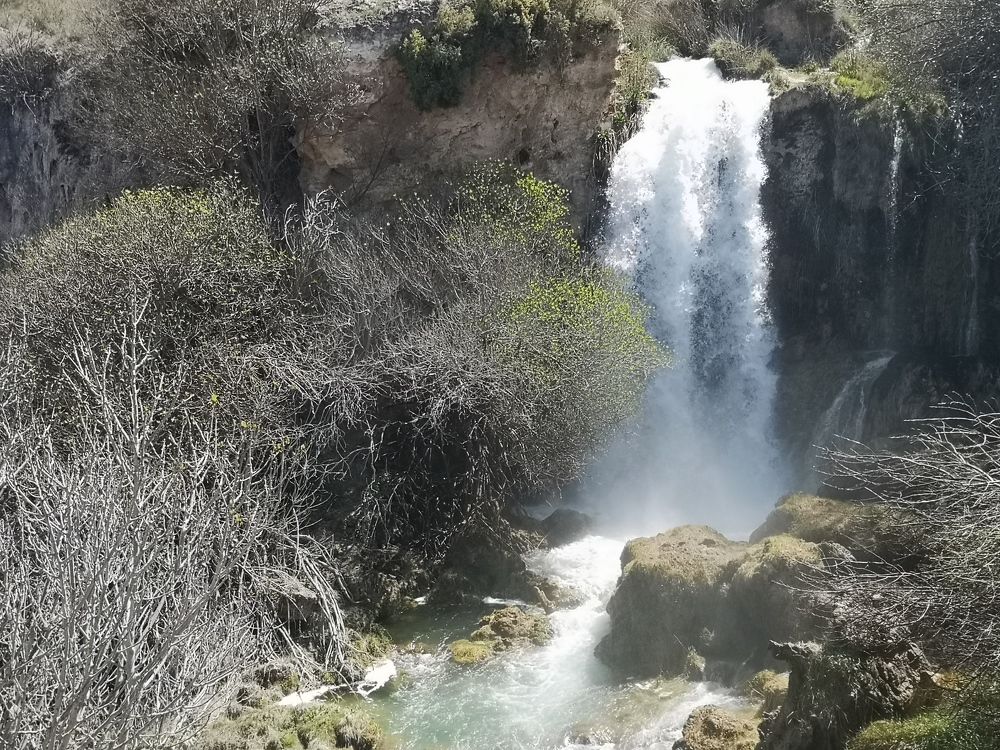 Photograph by Estrella