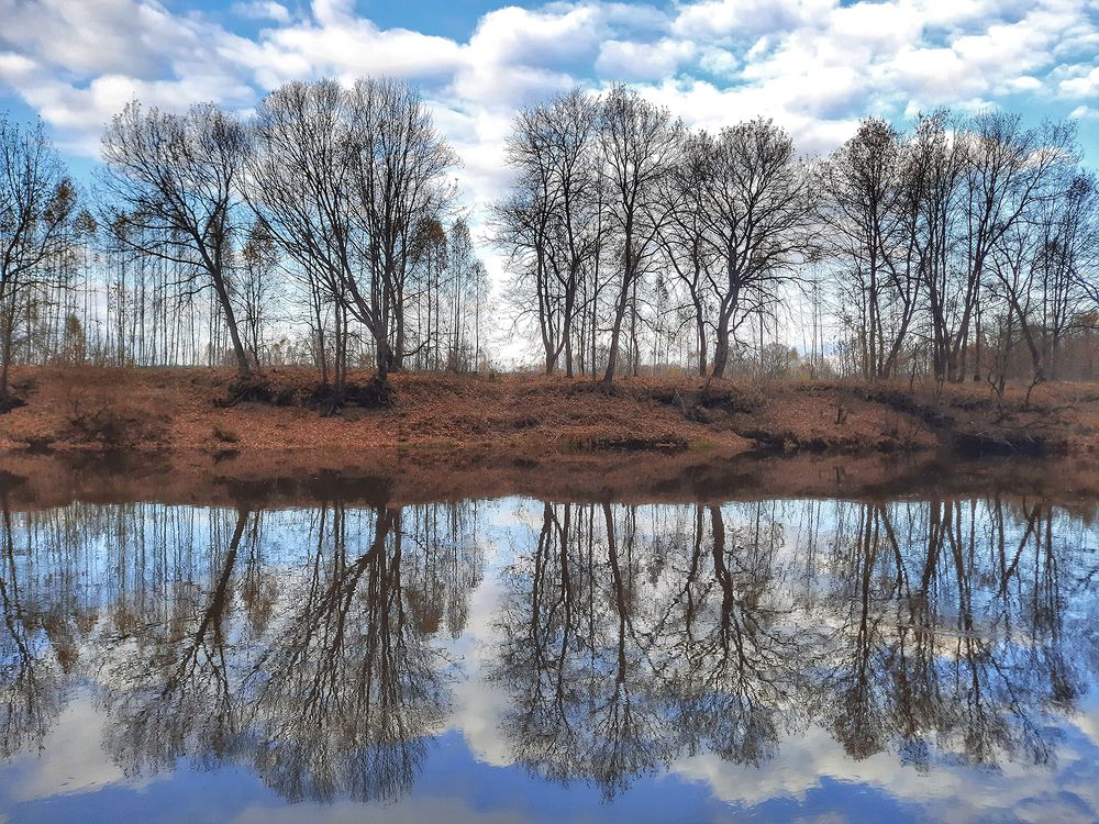 Photograph by Михаил Рассказ