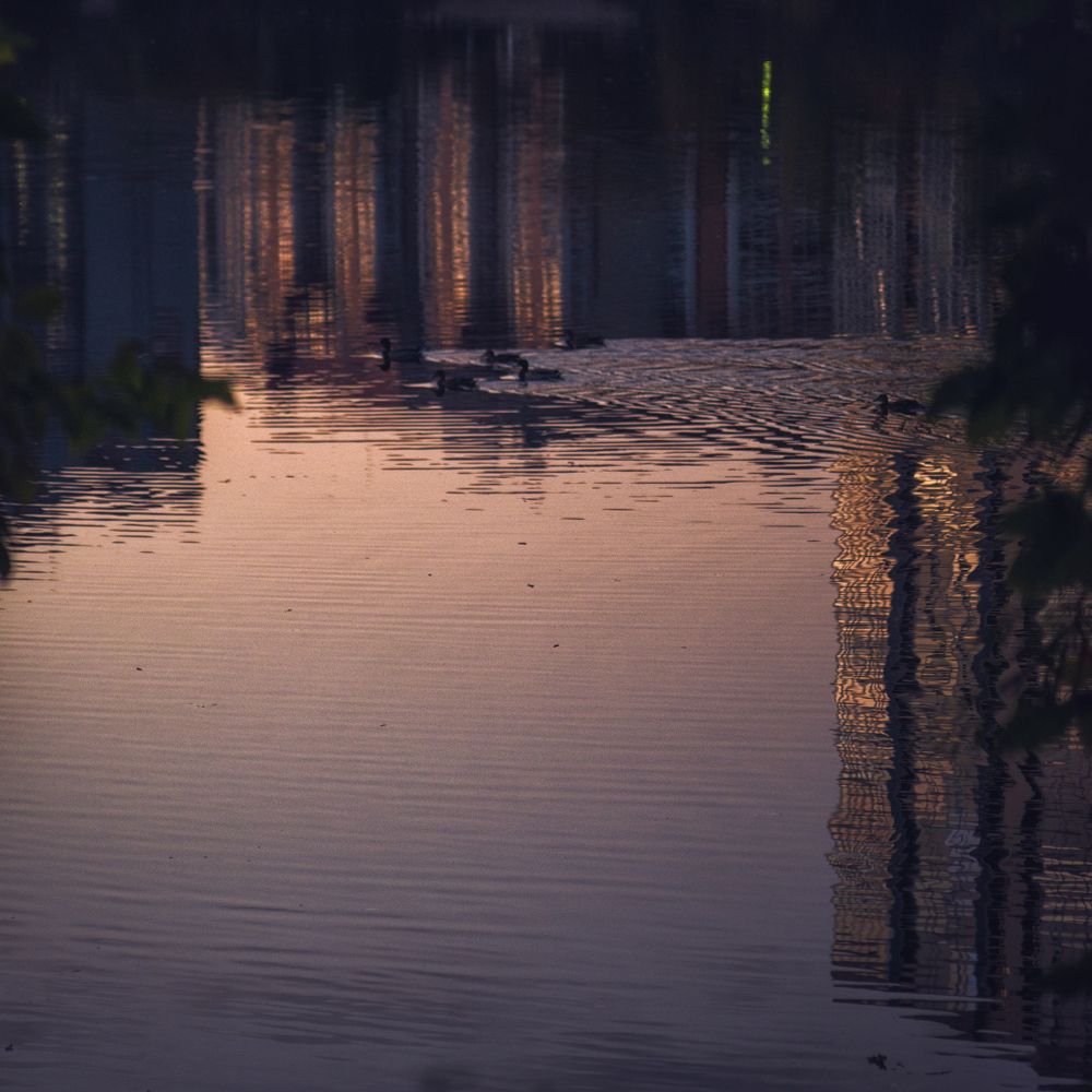 Photograph by z14photo