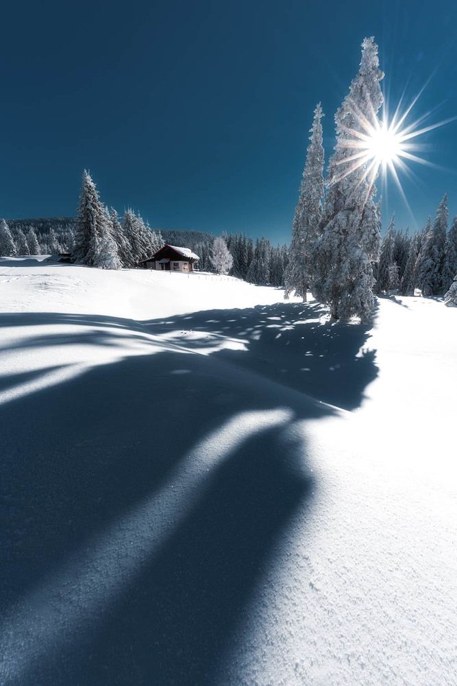 Photograph by Dimo Hristev