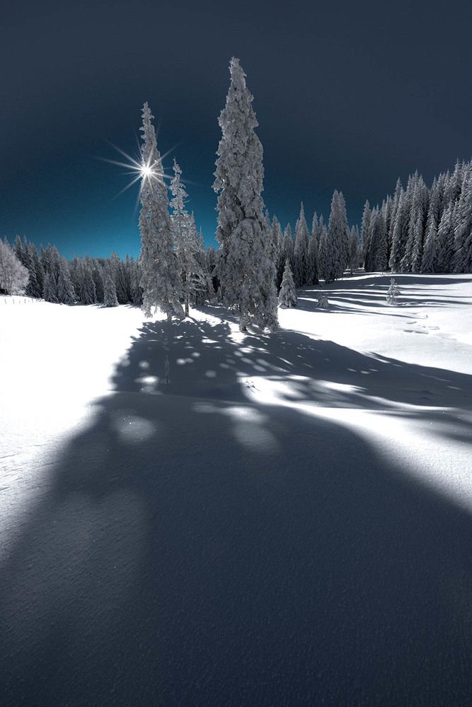 Photograph by Dimo Hristev