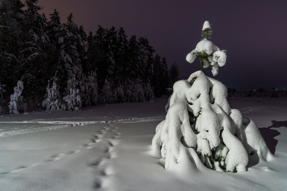 Photograph by Игорь Мурзенко