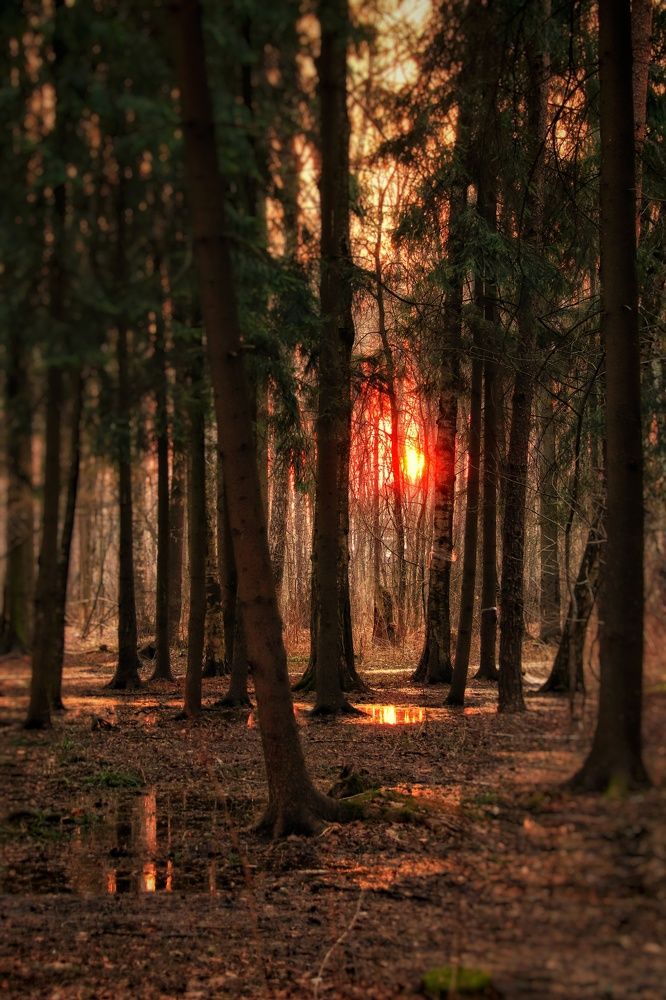 Photograph by Ирина Галеева