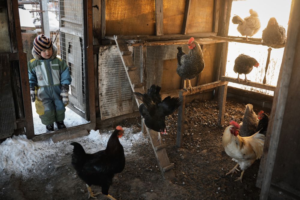 Photograph by Ирина Гончаренко