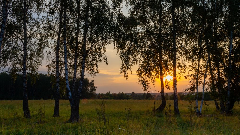 Прощание дня