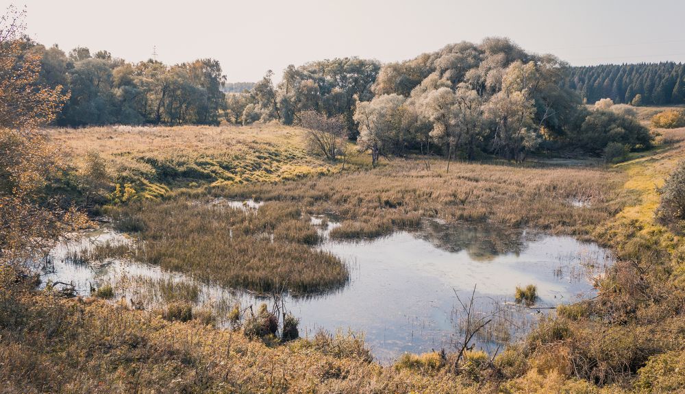 Старое русло Протвы