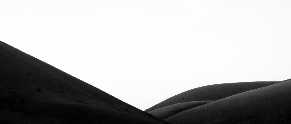Photo #6987727