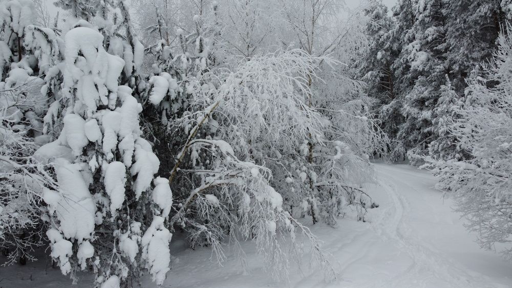 Photograph by Семен Батов