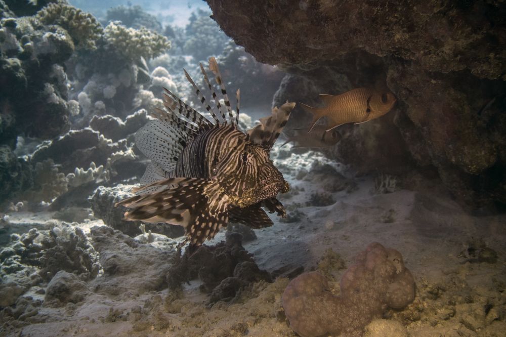 Photograph by Галина Михоношина