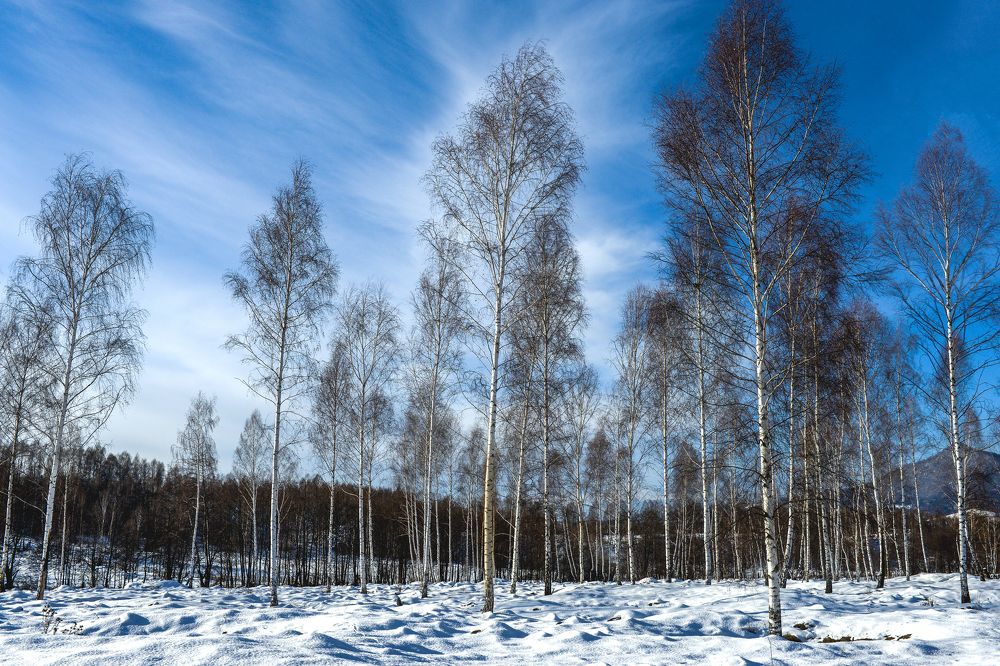 Photograph by Klu Klaudia