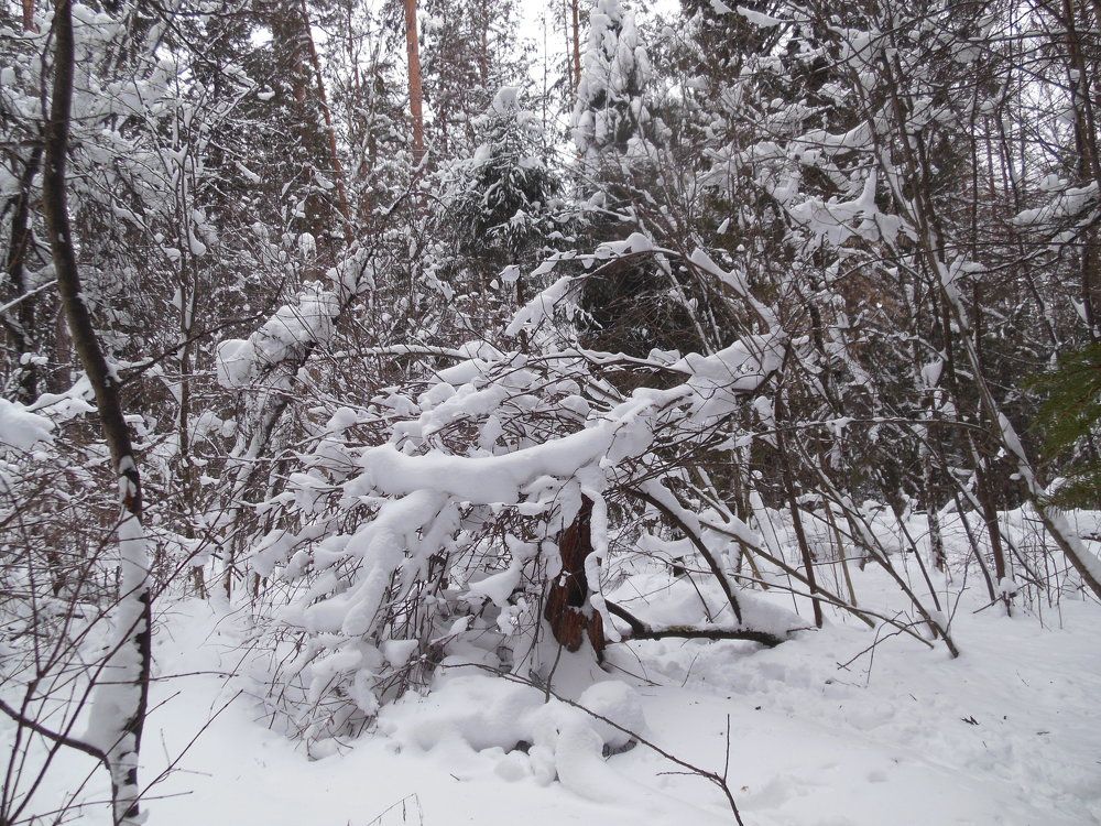 Photograph by Светлана Батурова