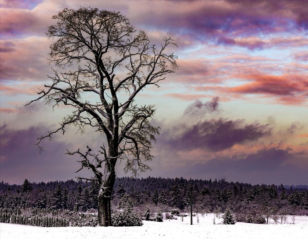 Photograph by Reinhold Seibel