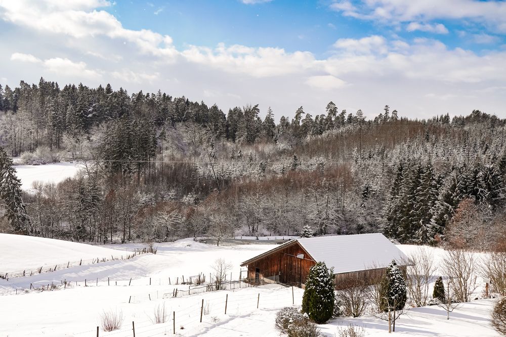 Photograph by Reinhold Seibel