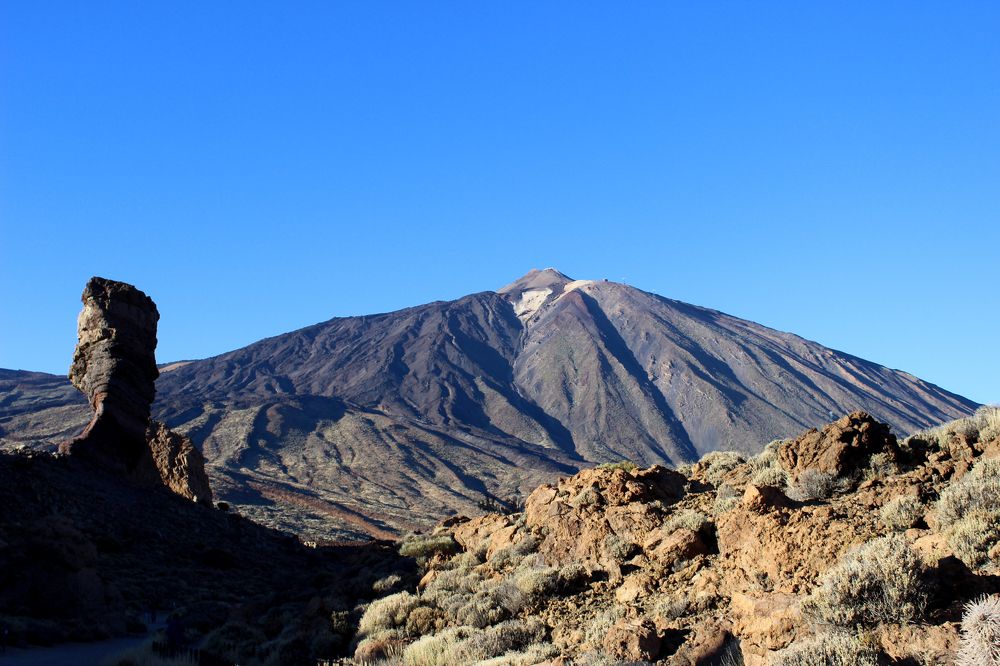Фотография автора Ольга Войтехович