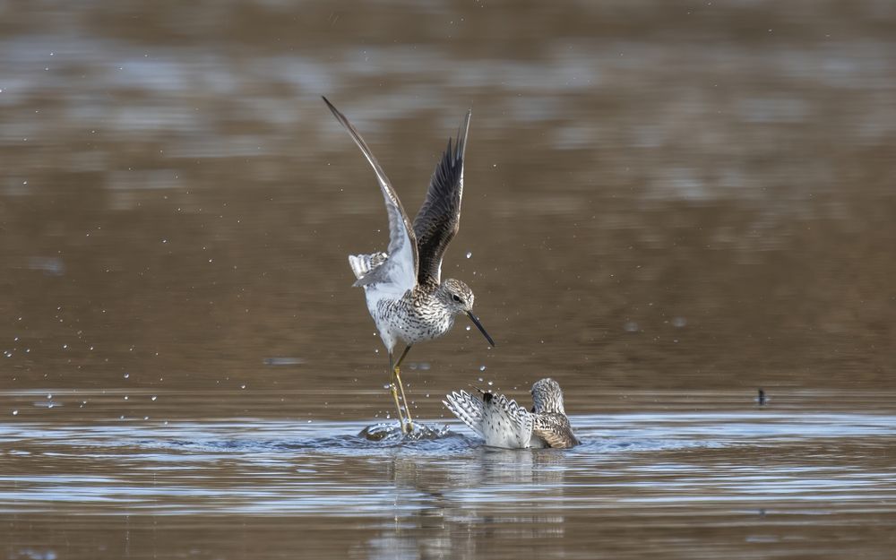 Фотография автора Юрий Калиногорский