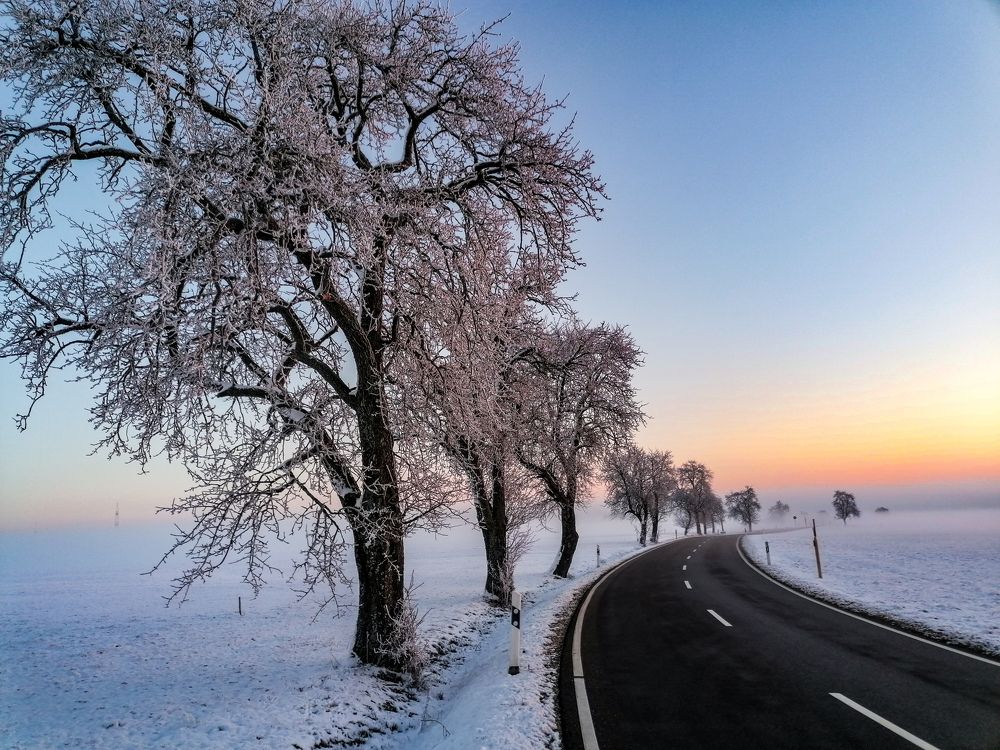 Photograph by Reinhold Seibel