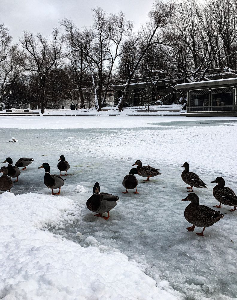 Photograph by Татьяна