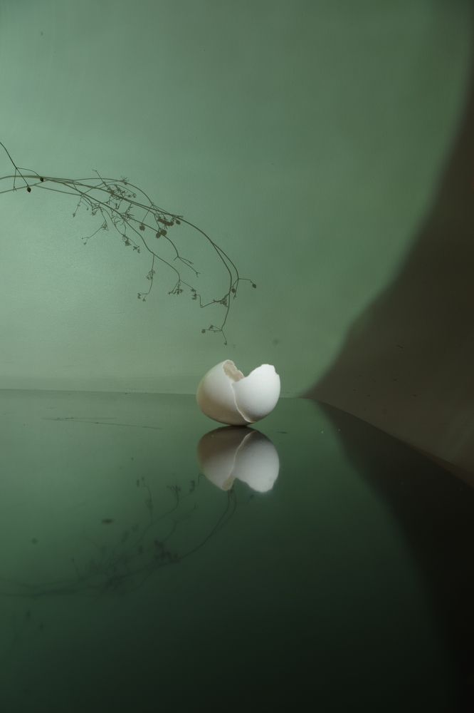 Photograph by ljubov robaltsenko