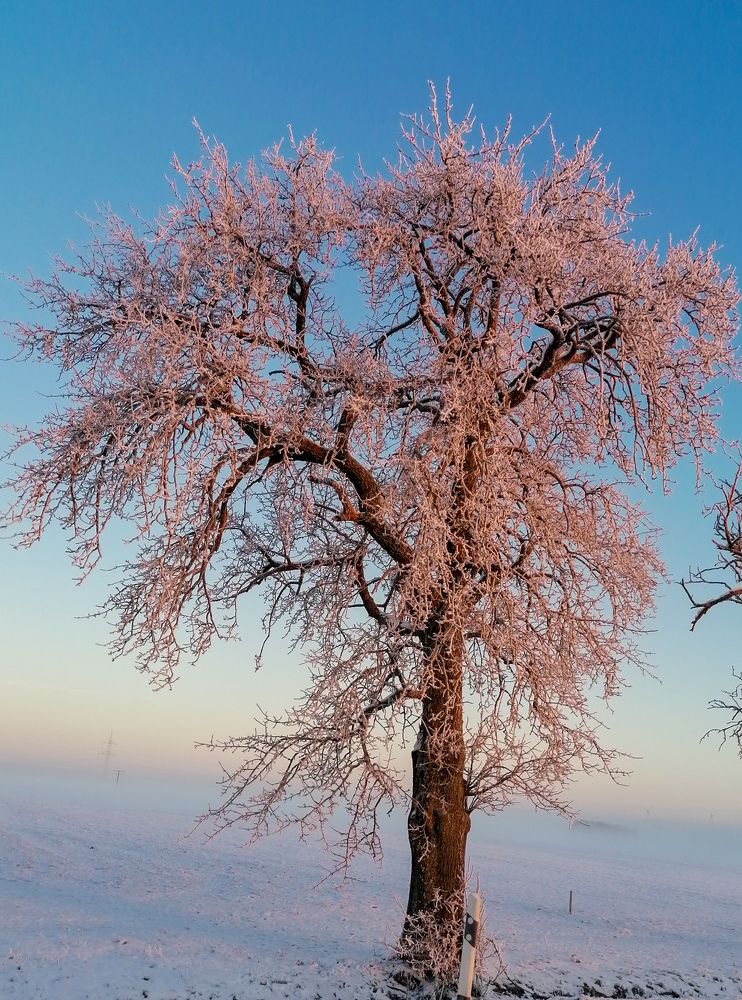 Photograph by Reinhold Seibel