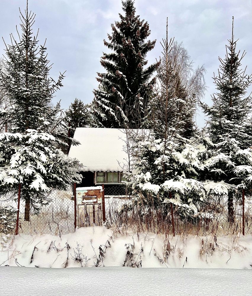 Photograph by Marya Kiseleva