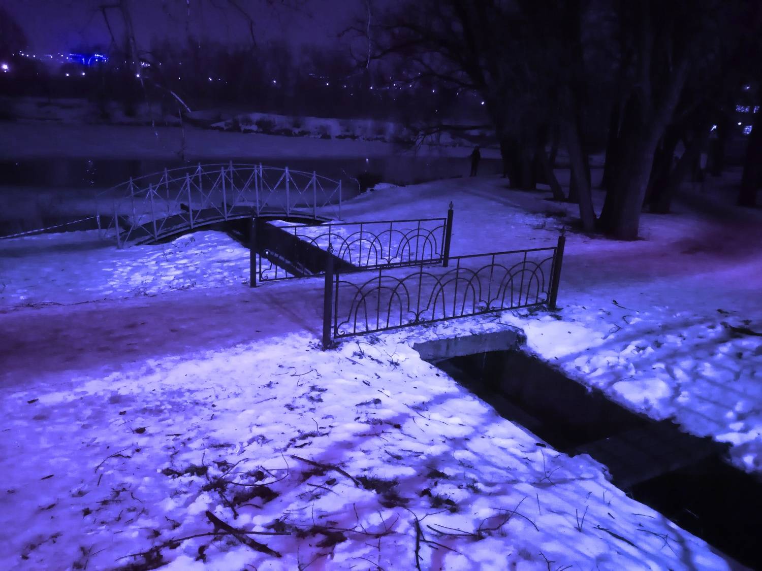 Photo #6987955