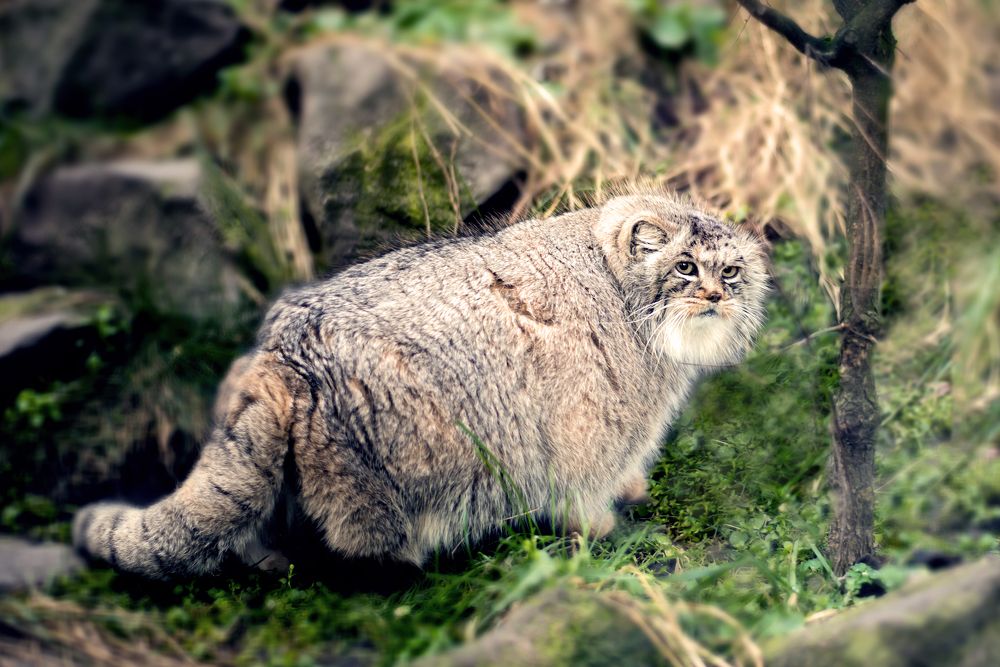 Photograph by Алексей Карпинчик