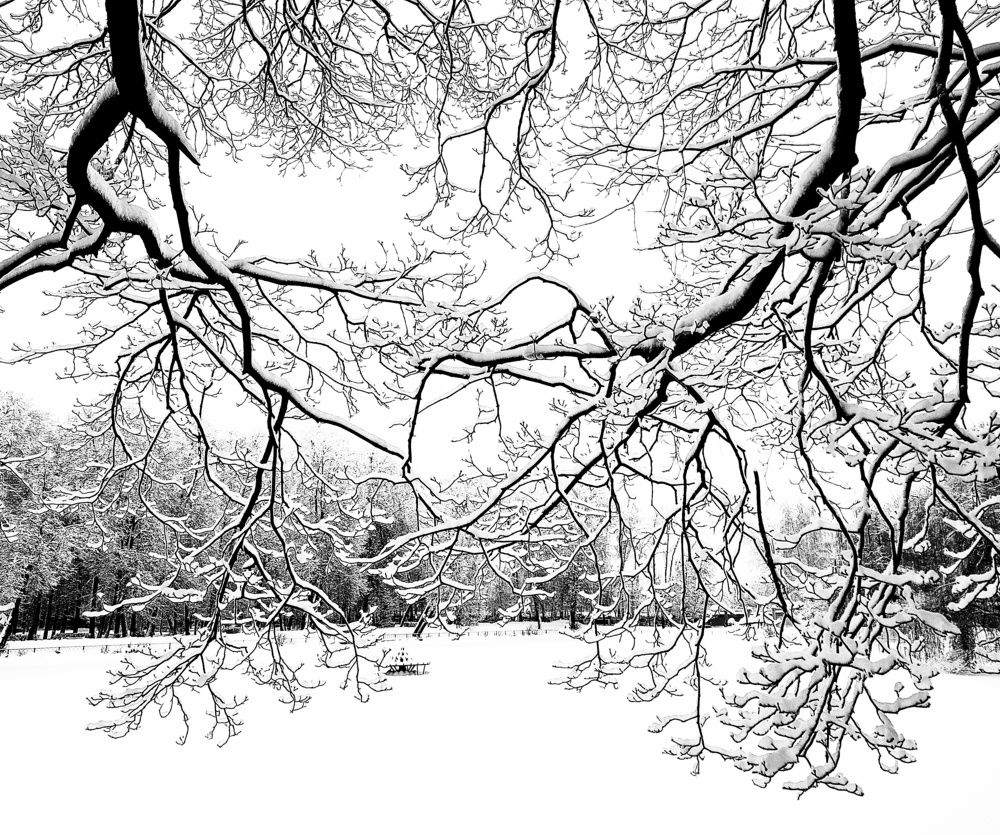 Photograph by Людмила М