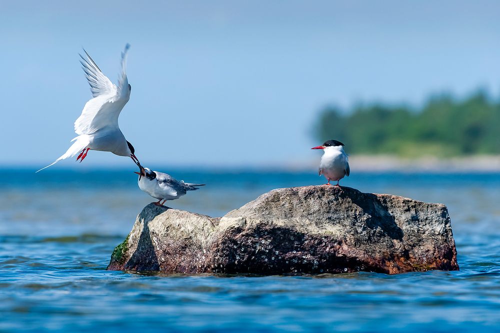 Photograph by Александр Абросимов