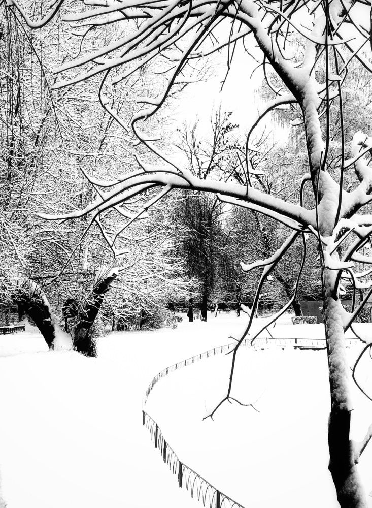 Photograph by Людмила М