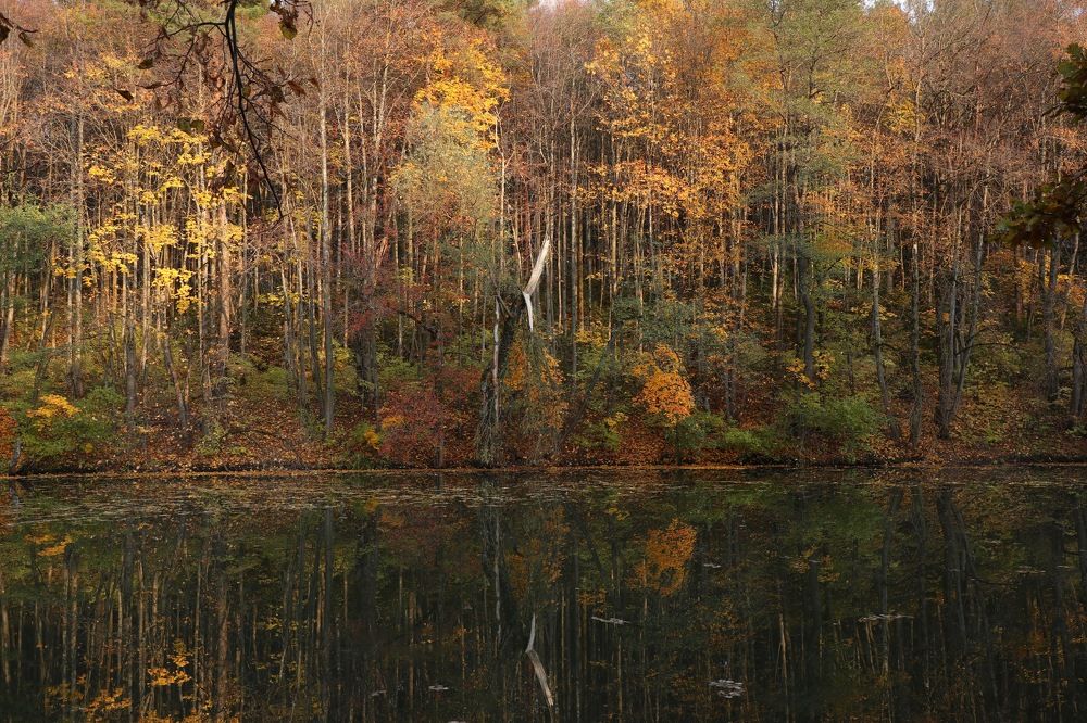 Photograph by Елена Ивкина