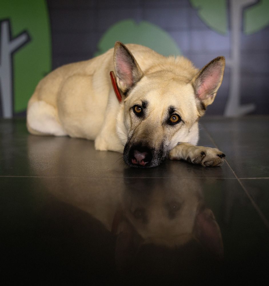 Фотография автора Ольга Матусевич