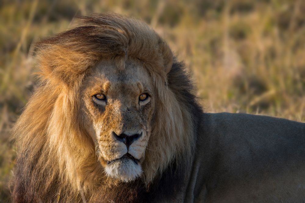 Photograph by Rana Jabeen Nawab