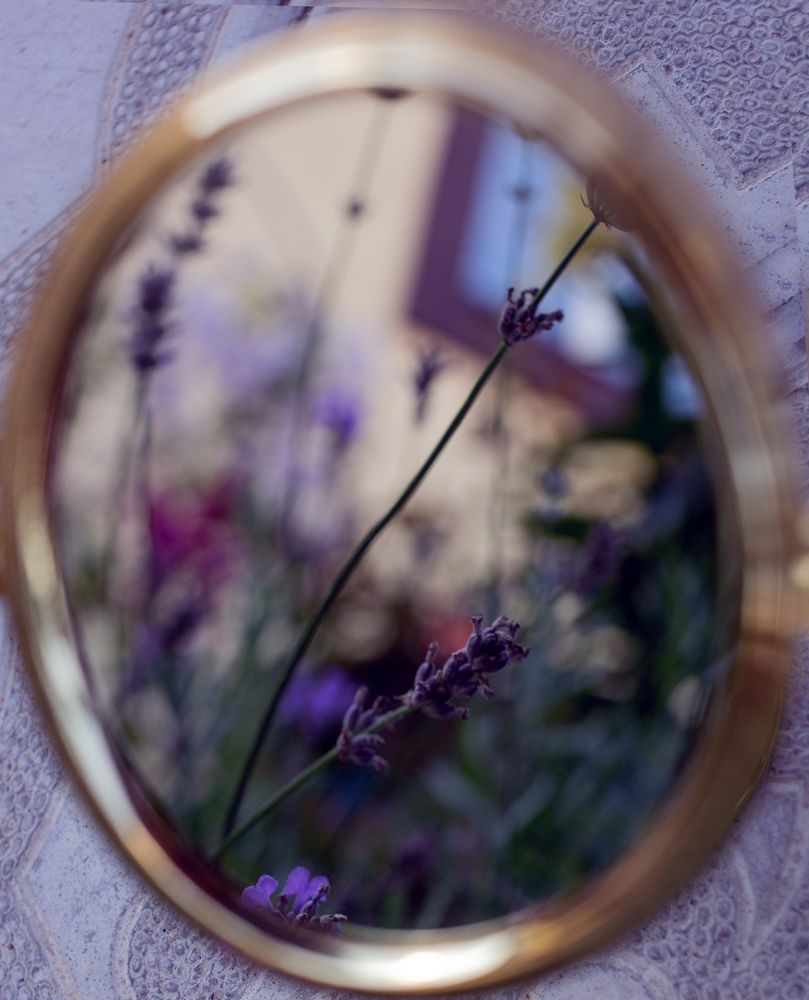 Фотография автора Ольга Матусевич